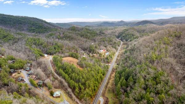 birds eye view of property featuring a mountain view