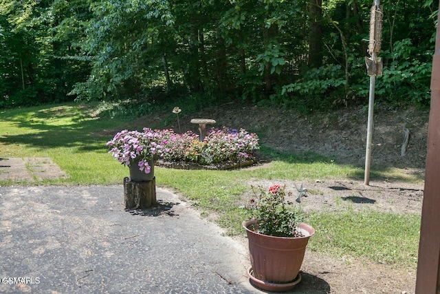 3188 Wears Dr, Sevierville, TN 37862 - view of yard