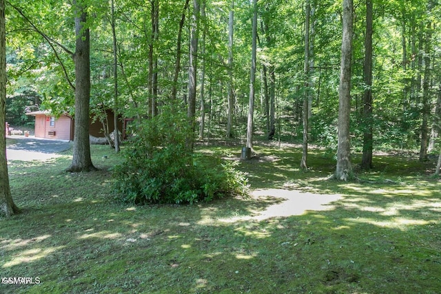3188 Wears Dr, Sevierville, TN 37862 - view of yard with a wooded view