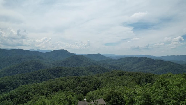 LOT118 Settlers View Ln, Sevierville TN, 37862 land for sale