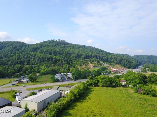 0 Easy St, Sevierville, TN 37862 - photo 1
