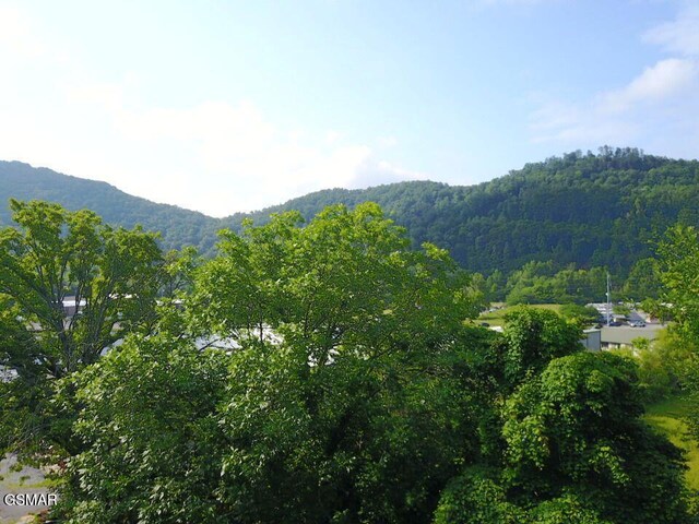 0 Easy St, Sevierville, TN 37862