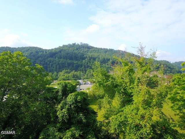 0 Easy St, Sevierville, TN 37862