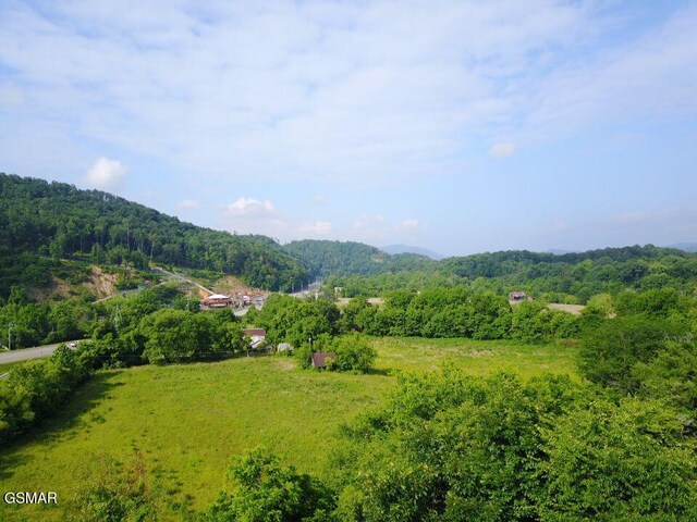 0 Easy St, Sevierville, TN 37862