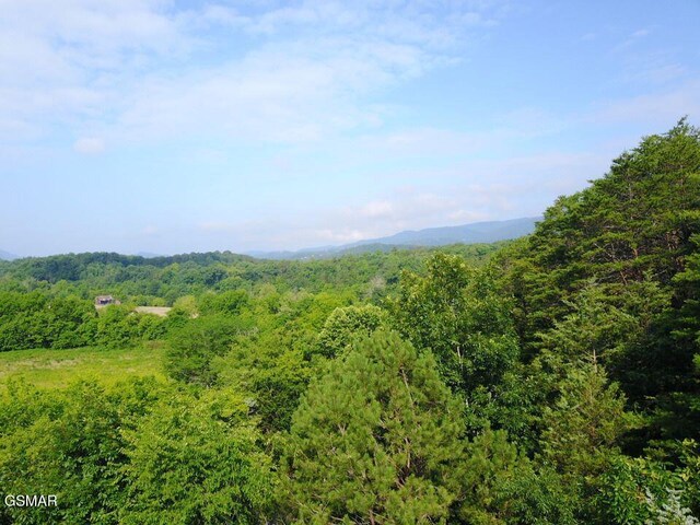 0 Easy St, Sevierville, TN 37862