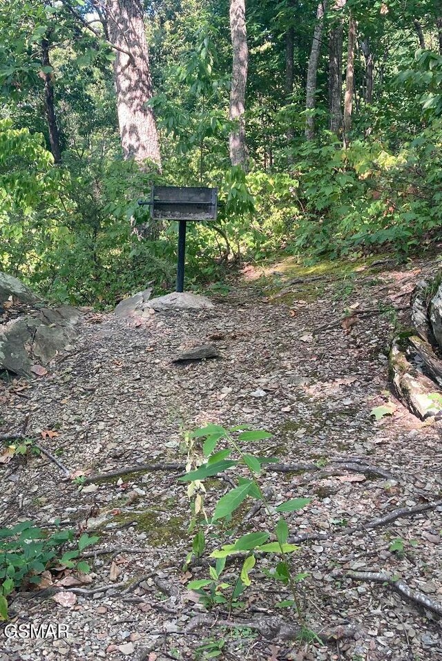 view of local wilderness