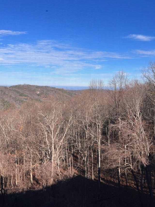 view of local wilderness