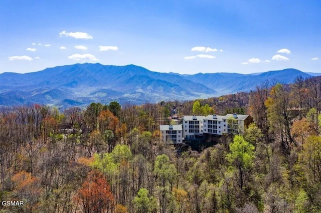 property view of mountains