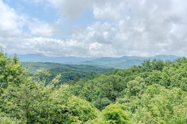 1910 E Mountain View Way, Sevierville, TN 37876 - view of mountain background with a forest
