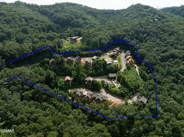 943 Pine Valley Way, Sevierville, TN 37862