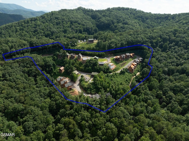 943 Pine Valley Way, Sevierville, TN 37862