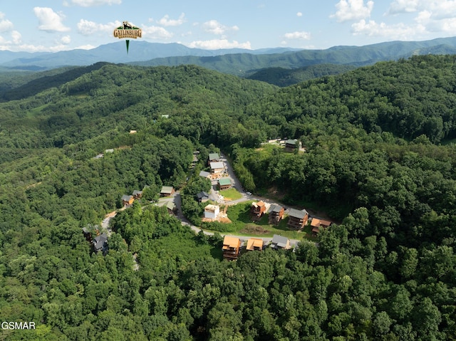 943 Pine Valley Way, Sevierville, TN 37862