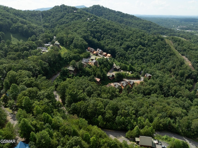 943 Pine Valley Way, Sevierville, TN 37862
