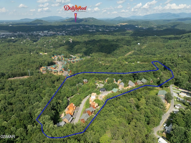 943 Pine Valley Way, Sevierville, TN 37862