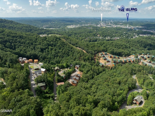 943 Pine Valley Way, Sevierville, TN 37862