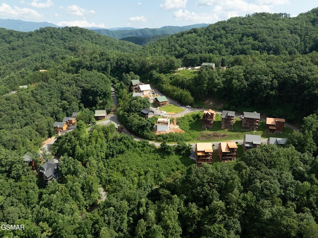 943 Pine Valley Way, Sevierville, TN 37862