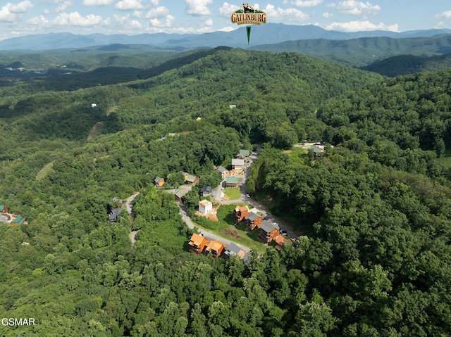 943 Pine Valley Way, Sevierville, TN 37862