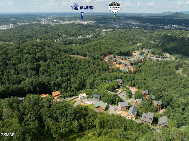 943 Pine Valley Way, Sevierville, TN 37862