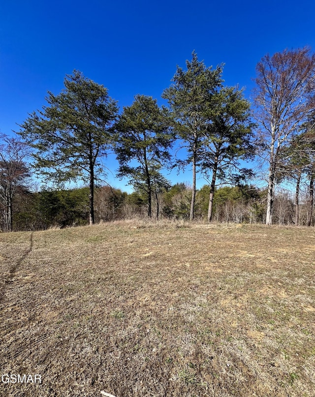 2009 Scott St, Sevierville TN, 37876 land for sale