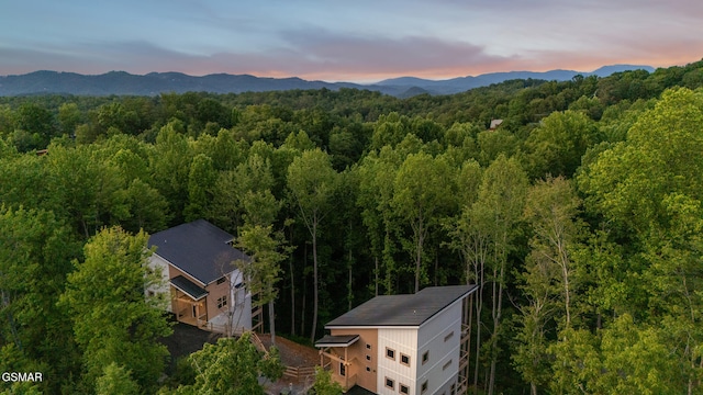 1928 Pine Ct, Sevierville, TN 37876 - view of mountain background with a heavily wooded area
