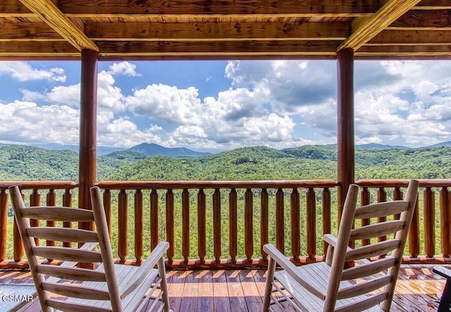 2834 White Oak Ridge Ln, Sevierville, TN 37862 - photo 28