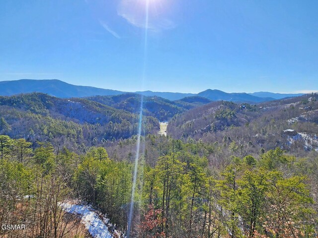 2834 White Oak Ridge Ln, Sevierville, TN 37862 - photo 2