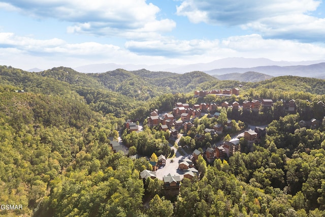 birds eye view of property featuring a mountain view