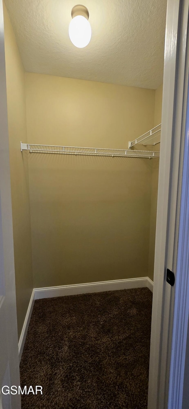 walk in closet with carpet floors