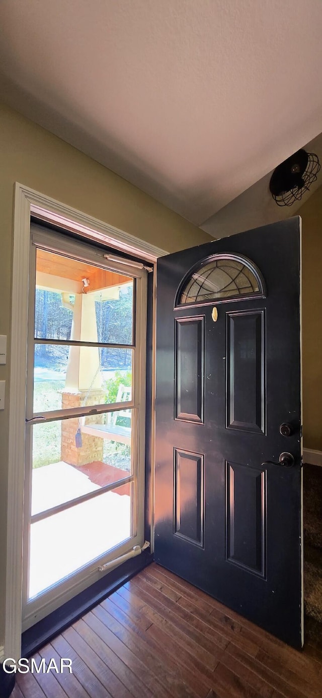 foyer entrance with dark wood-type flooring