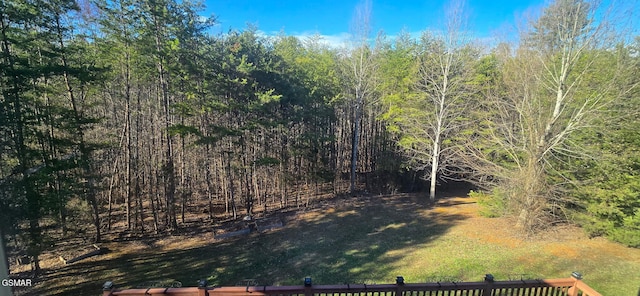 view of yard with a wooded view