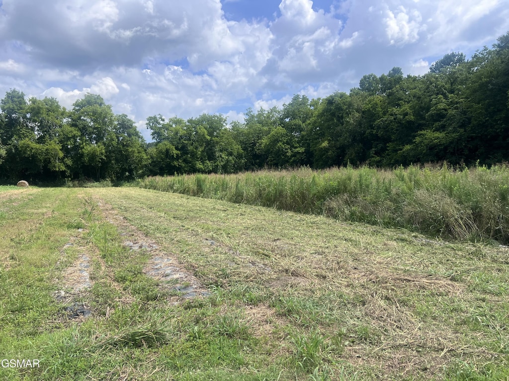 LOT15 Nibor Way, Newport, TN 37821 - photo 1
