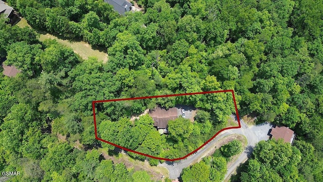 3240 Parish Way, Sevierville, TN 37876 - photo 36