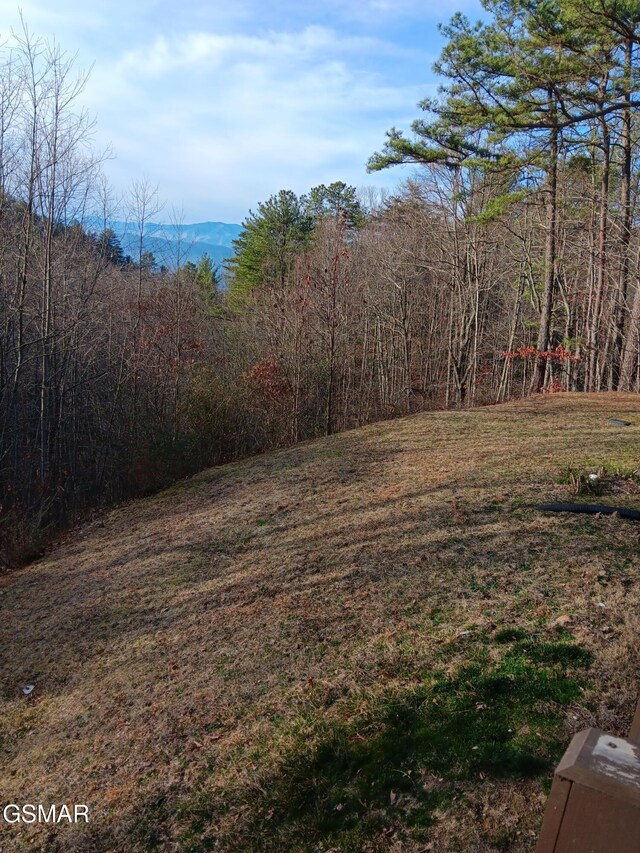 1081 Cove Rd Apt 1011, Sevierville, TN 37876 - photo 17