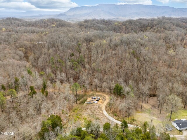 0 George Harrison Way, Seymour, TN 37865 - photo 25