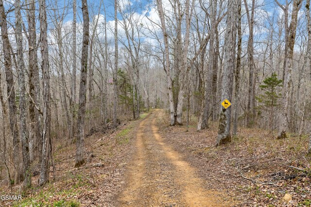 0 George Harrison Way, Seymour, TN 37865 - photo 12