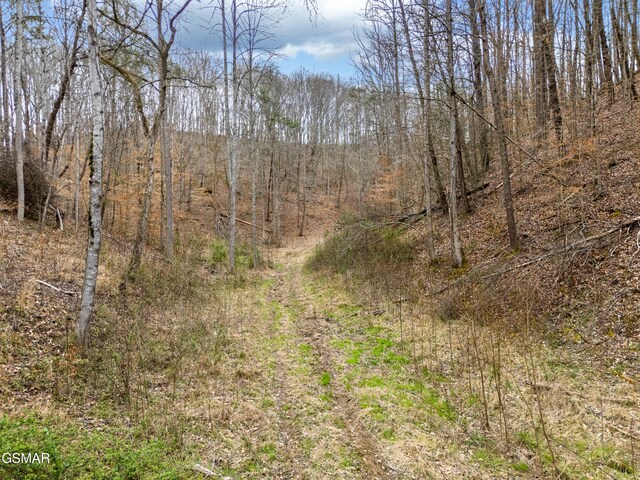 0 George Harrison Way, Seymour, TN 37865 - photo 9