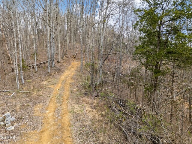 0 George Harrison Way, Seymour, TN 37865 - photo 4