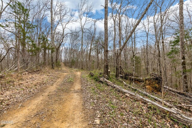 0 George Harrison Way, Seymour, TN 37865 - photo 14
