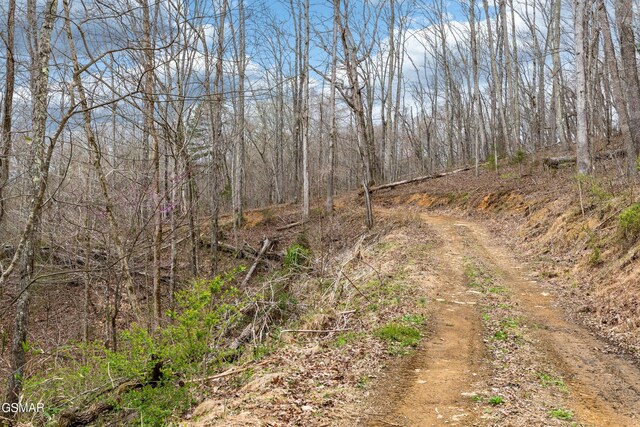 0 George Harrison Way, Seymour, TN 37865 - photo 15
