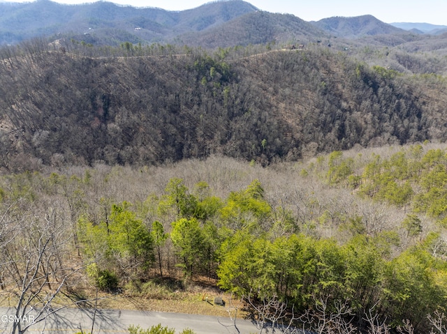 139 Settlers View Ln, Sevierville, TN 37862