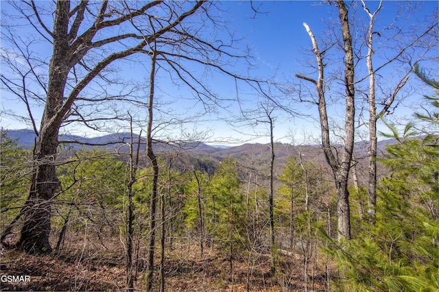 139 Settlers View Ln, Sevierville, TN 37862