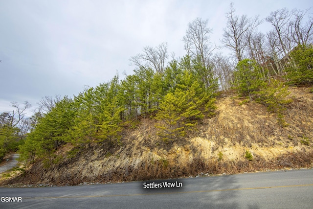 139 Settlers View Ln, Sevierville, TN 37862