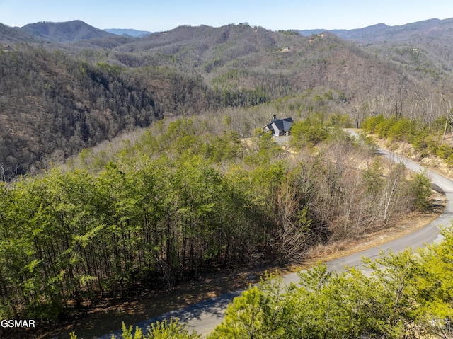 139 Settlers View Ln, Sevierville, TN 37862
