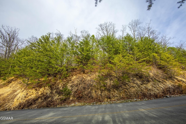 139 Settlers View Ln, Sevierville, TN 37862