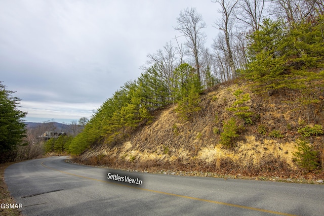 139 Settlers View Ln, Sevierville, TN 37862 - photo 17