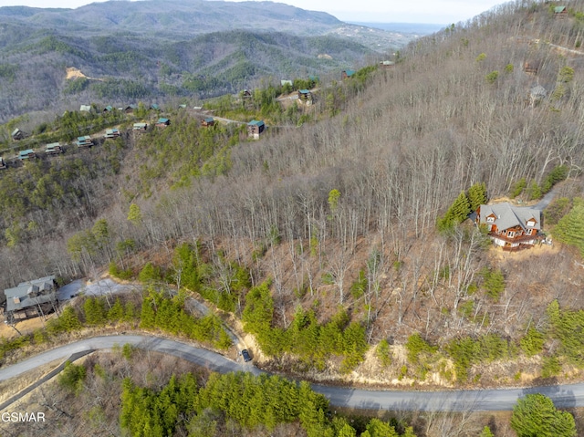 139 Settlers View Ln, Sevierville, TN 37862