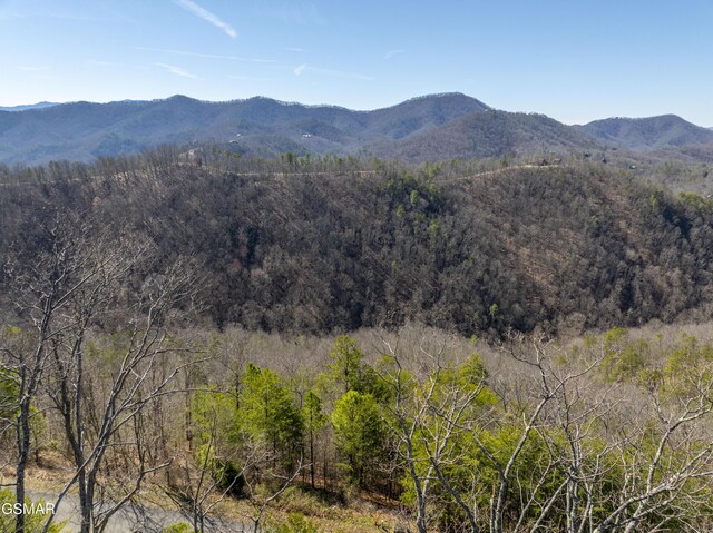 139 Settlers View Ln, Sevierville, TN 37862 - photo 36