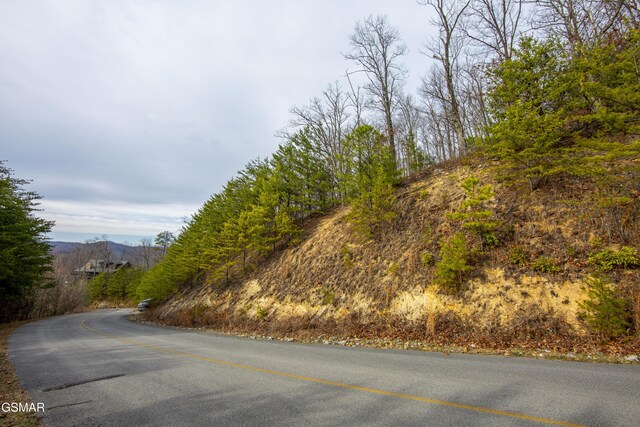 139 Settlers View Ln, Sevierville, TN 37862 - photo 48