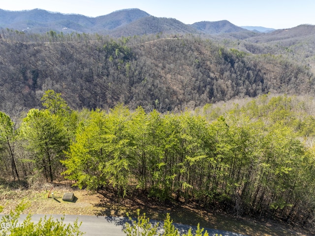 139 Settlers View Ln, Sevierville, TN 37862