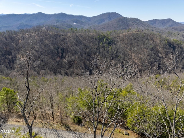 139 Settlers View Ln, Sevierville, TN 37862